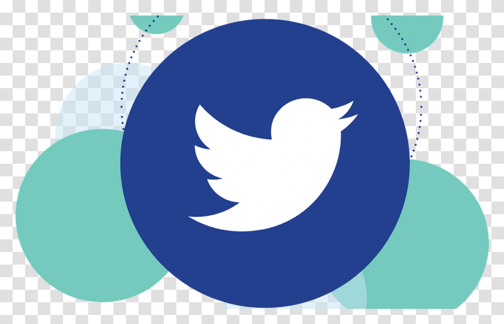 How To Scrape More Information From Tweets, Logo, Symbol, Text, Bird Transparent Png