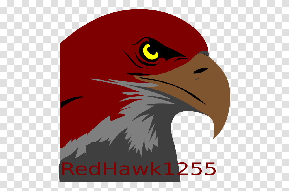 How To Set Use Redhawk1255 Gaming Logo Icon Bald Eagle Bald Eagle Clipart, Bird, Animal, Beak, Poster Transparent Png