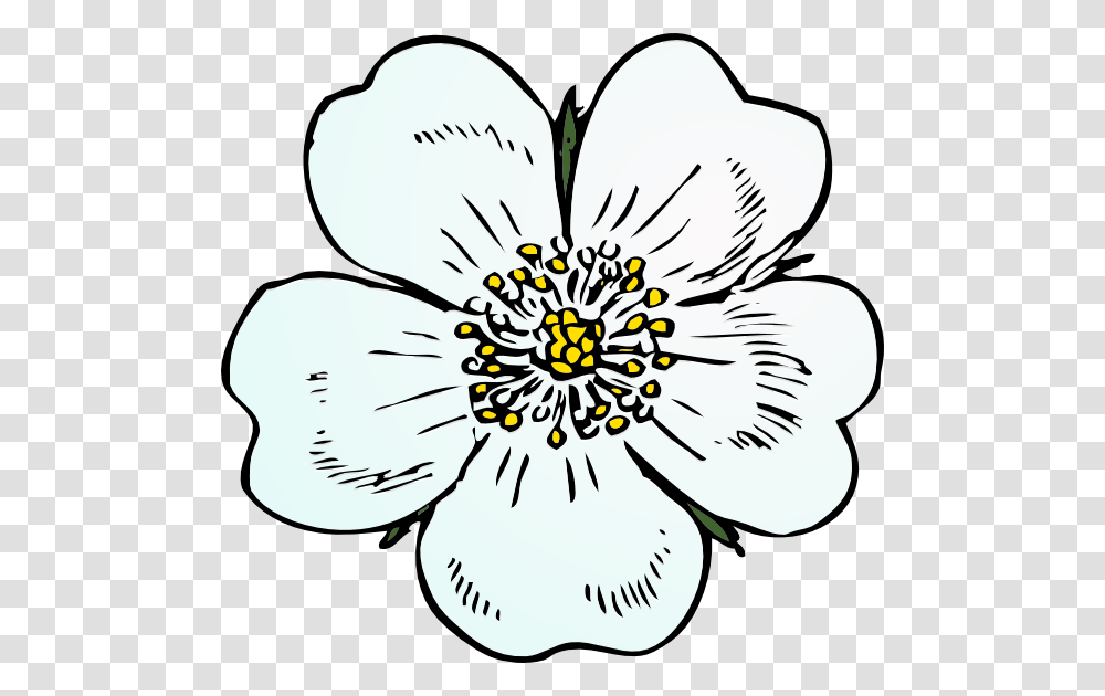 How To Set Use White Rose Icon Apple Blossom Flower Drawings, Plant, Anther, Floral Design, Pattern Transparent Png