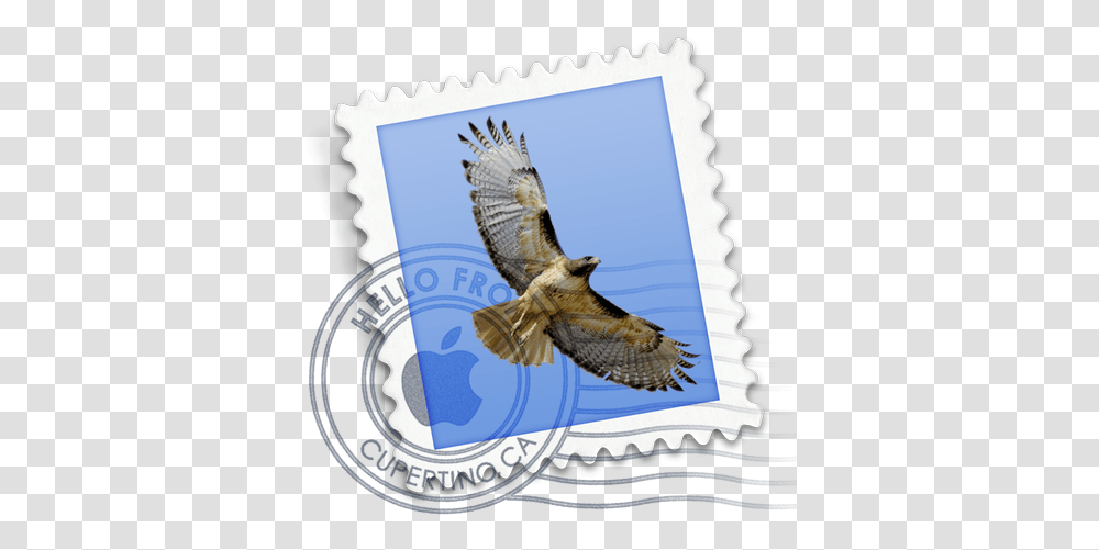 How To Stop Spam In Mac Mail Macworld Uk Apple Mail Icon, Bird, Animal, Accipiter, Kite Bird Transparent Png