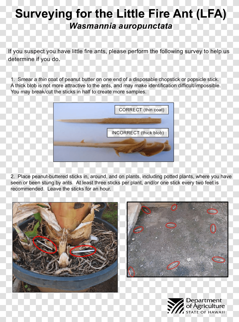 How To Test For Little Fire Ant Download Hawaii Department Of Agriculture, Poster, Advertisement, Collage, Paper Transparent Png