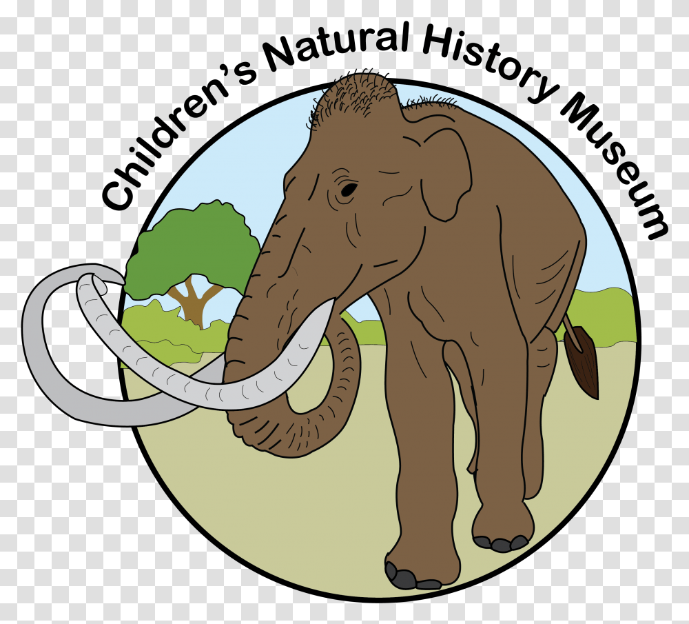 How To Use Museum September 7 2019 Saturday 10am 12 Indian Elephant, Mammal, Animal, Wildlife, Aardvark Transparent Png