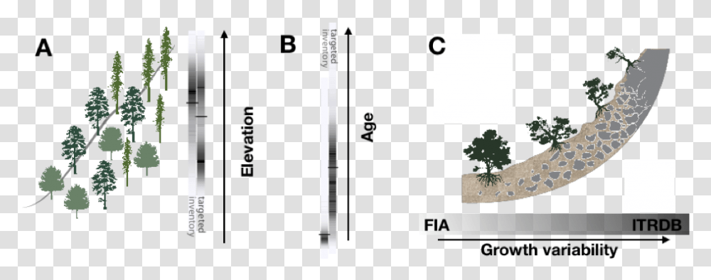 How We Sample Trees Influences Our Assessment Of Climate Statistical Graphics, Text, Minecraft, Plot Transparent Png