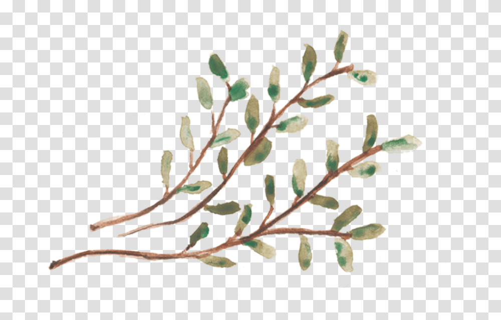 However With God Being The Third Twig That Stands Twig, Plant, Leaf, Seed, Grain Transparent Png