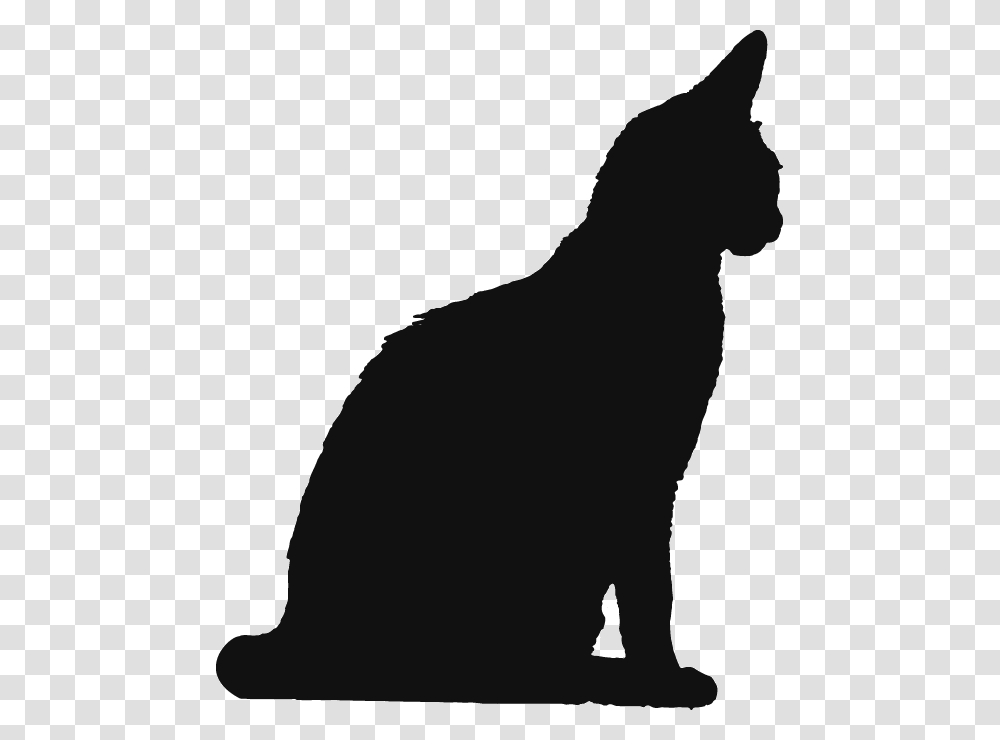Howling Wolf Cut Out, Silhouette, Person, Human, Kneeling Transparent Png