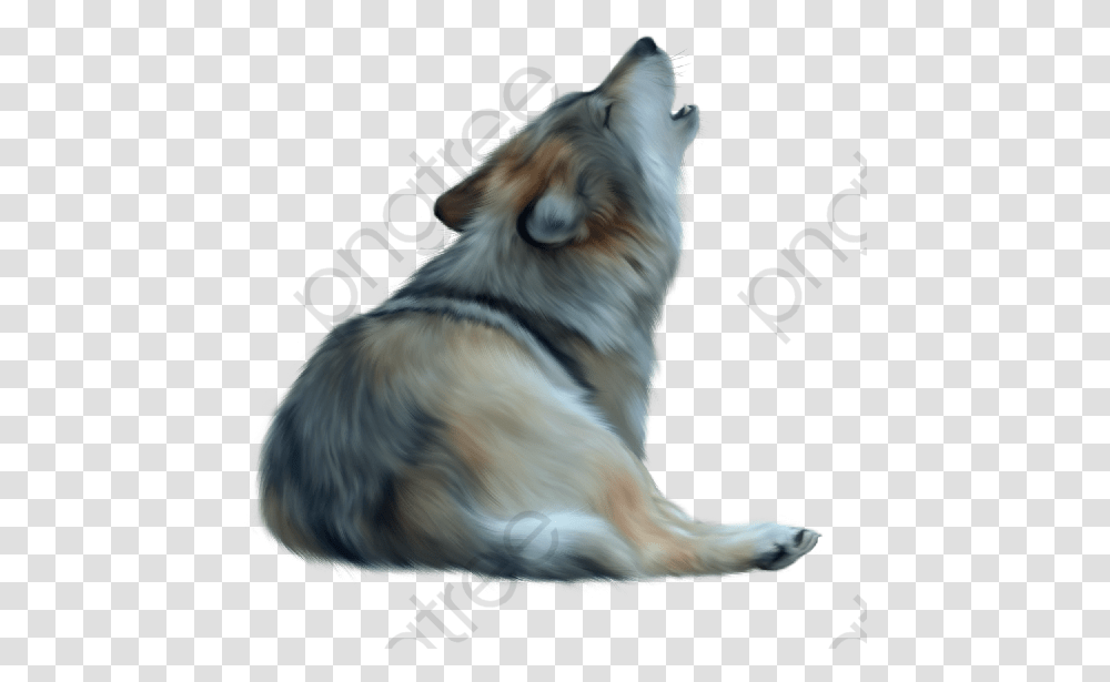 Howling Wolf, Dog, Pet, Canine, Animal Transparent Png