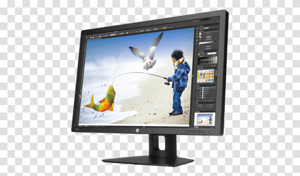 Hp Ips Monitor 24 Inch, Screen, Electronics, Person, Bird Transparent Png