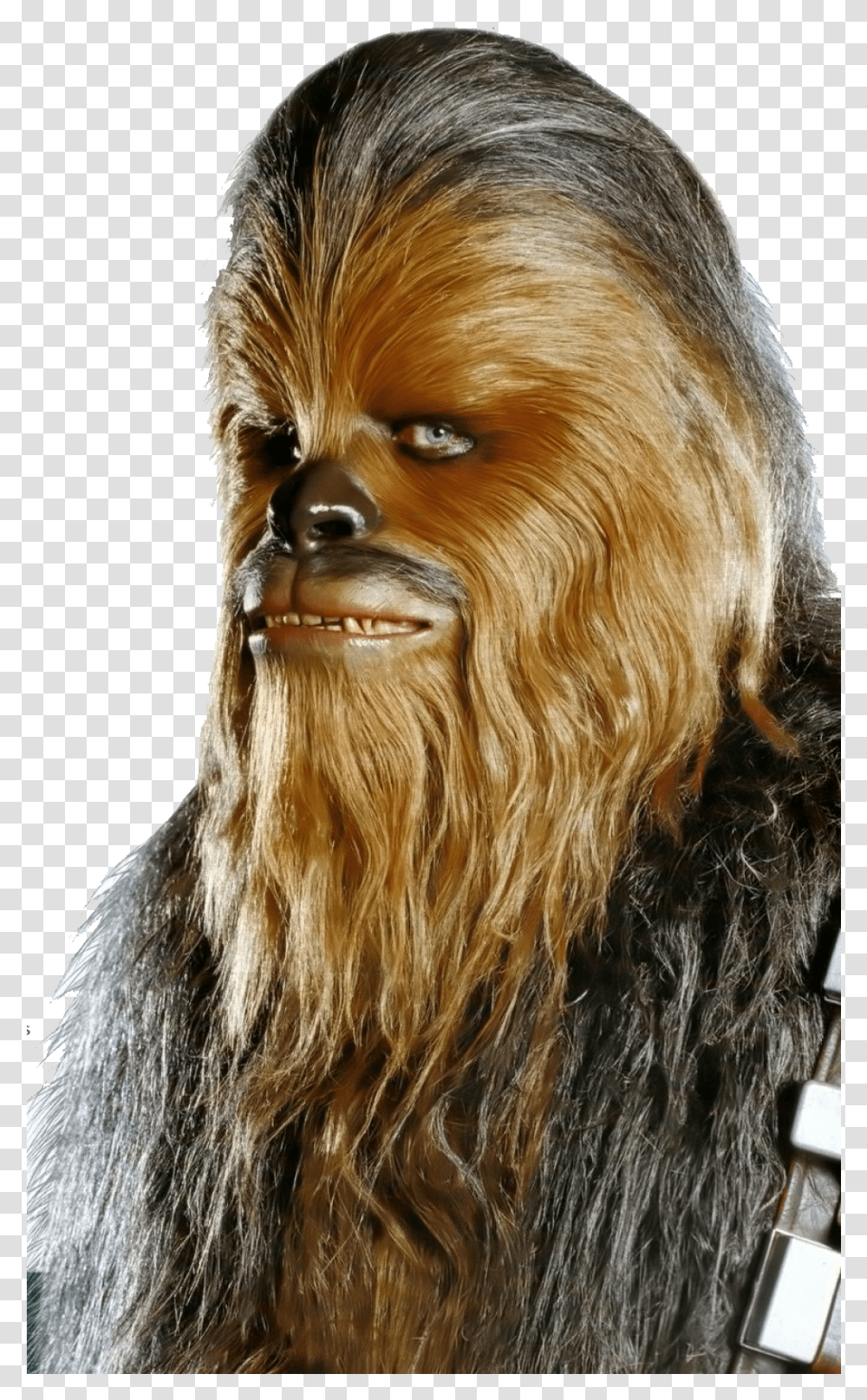 Hq Chewbacca Wookie Cutout Cutouts Star Wars Brown Guy, Face, Person, Mammal, Animal Transparent Png