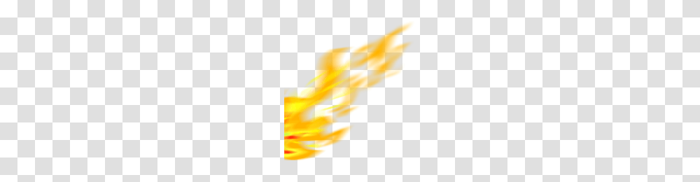 Hq Fire Fire Images, Plant, Sunlight, Poster Transparent Png