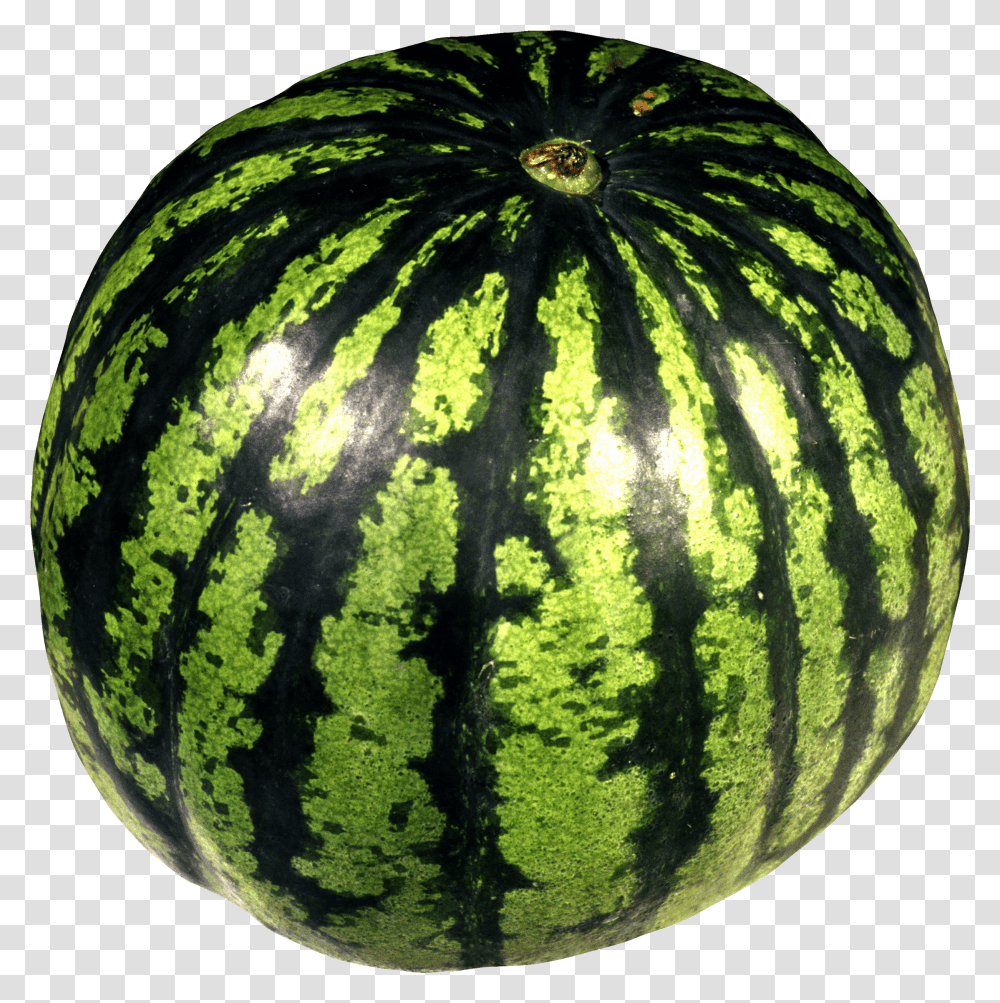Hq Watermelon Water Melons Without Backround, Plant, Fruit, Food Transparent Png