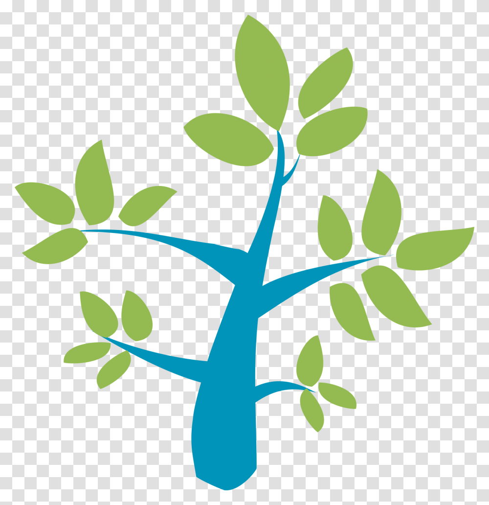 Hr Solutions, Leaf, Plant, Green Transparent Png