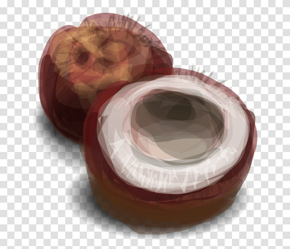 Hrum Coconut, Plant, Vegetable, Food, Fruit Transparent Png