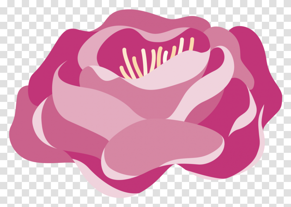 Ht Peonies01 Indv 01 Illustration, Plant, Vegetable, Food, Petal Transparent Png