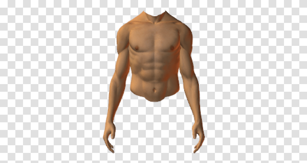 Ht Torso, Person, Human, Face, Arm Transparent Png