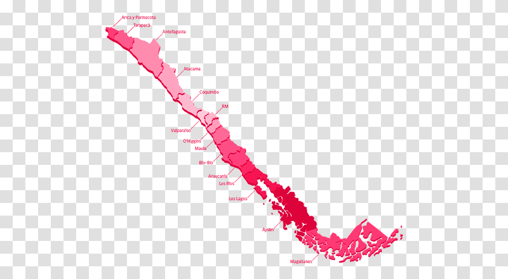 Http Decapack Comwp Todo Chile Map Of Chile, Animal, Leisure Activities, Saxophone, Musical Instrument Transparent Png