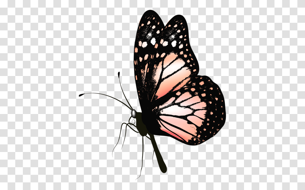 Http Favata26 Rssing Comchan File Butterfly Gif, Monarch, Insect, Invertebrate, Animal Transparent Png