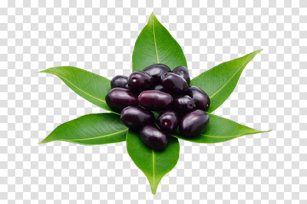 Huckleberry, Plant, Fruit, Food, Grapes Transparent Png