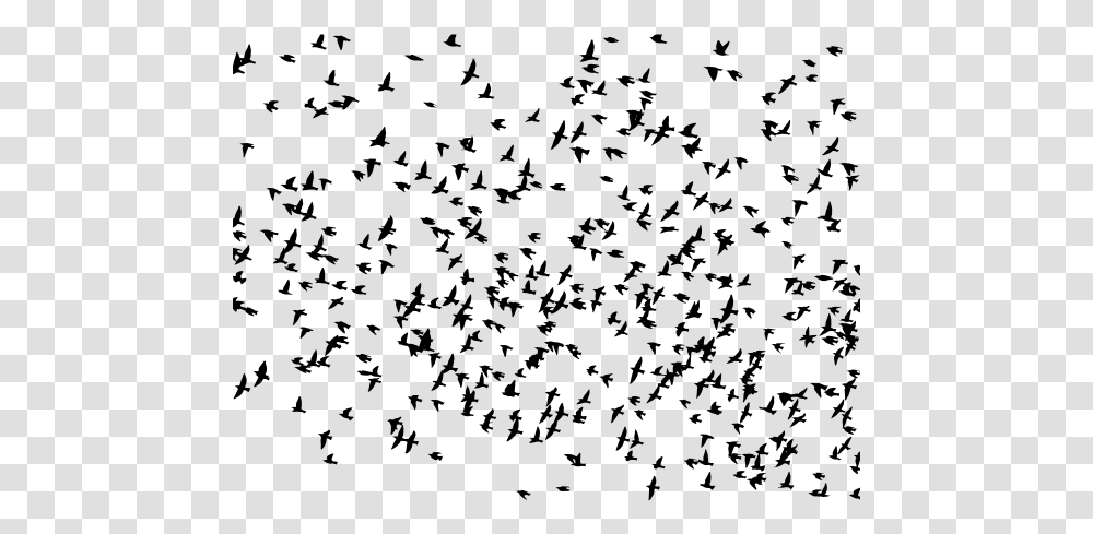 Huge Flock Of Birds Flock Of Birds Flying Clipart, Gray, World Of Warcraft Transparent Png