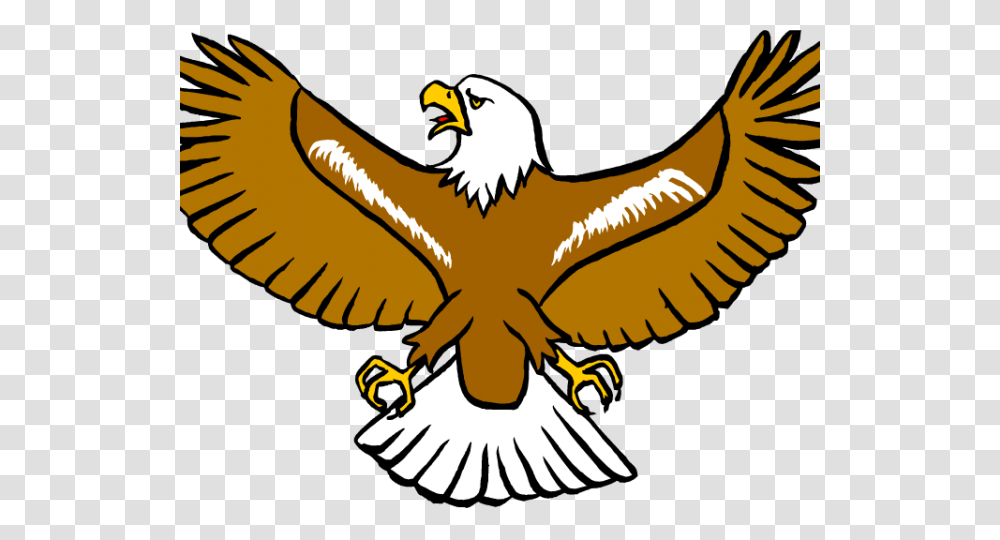 Huge Freebie Eagle Clipart, Bird, Animal, Bald Eagle, Flying Transparent Png