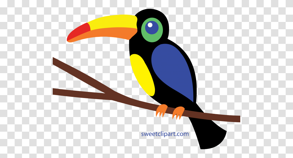 Huge Freebie Toucan Clipart, Animal, Bird Transparent Png