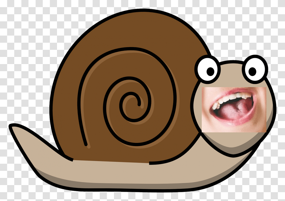 Huge Snail Sharp Teeth, Invertebrate, Animal Transparent Png