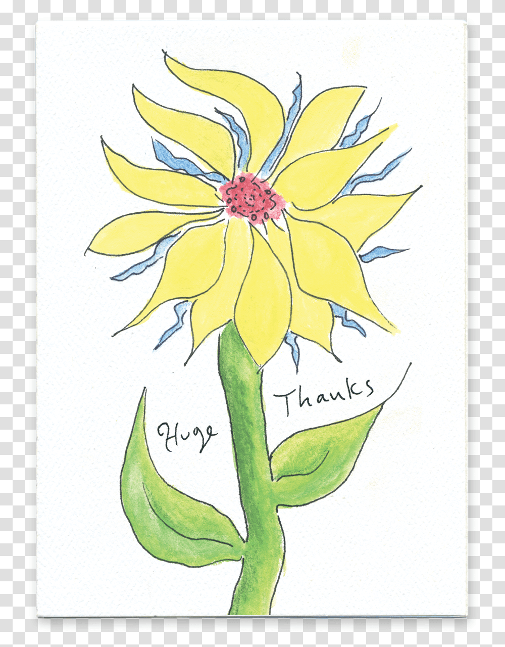 Huge Thanks Sketch, Plant, Flower, Blossom, Petal Transparent Png