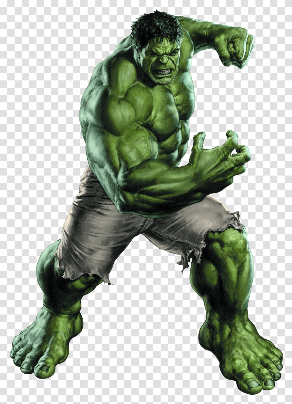 Hulk, Ape, Wildlife, Mammal, Animal Transparent Png