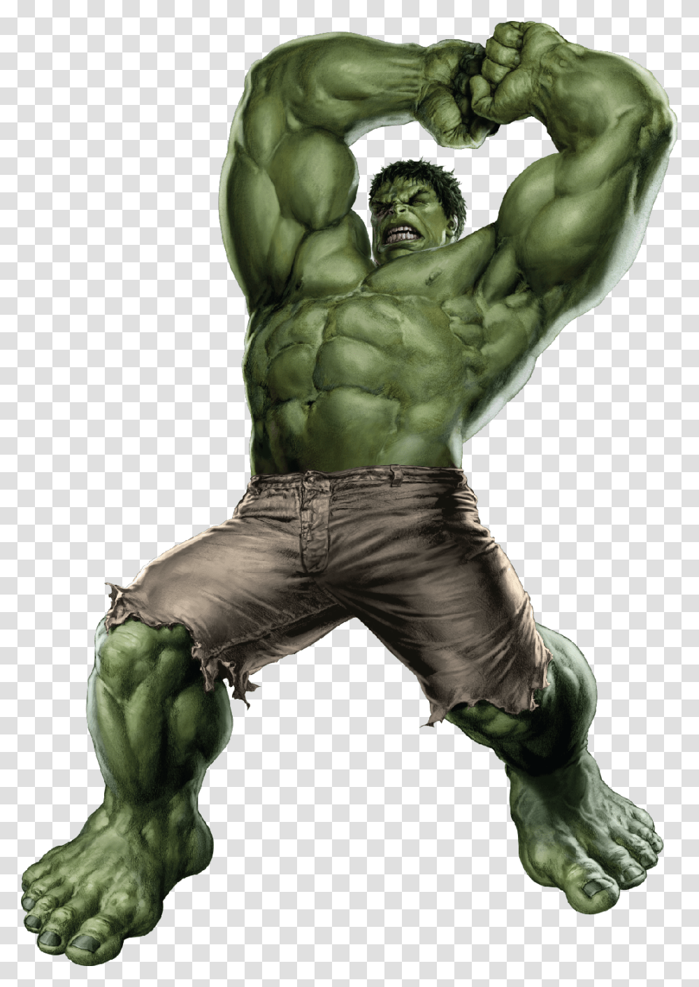 Hulk, Arm, Person, Torso, Back Transparent Png