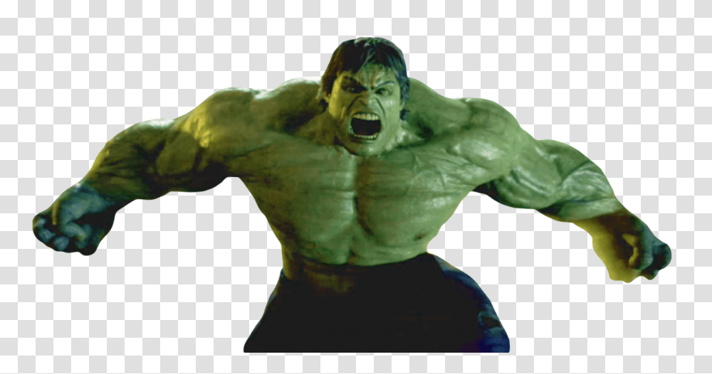 Hulk, Character, Alien, Person, Human Transparent Png