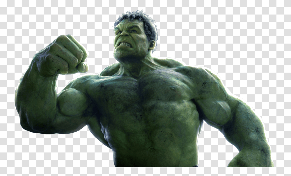 Hulk, Character, Hand, Head, Person Transparent Png