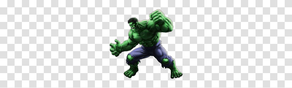 Hulk, Character, Hand, Ninja, Person Transparent Png