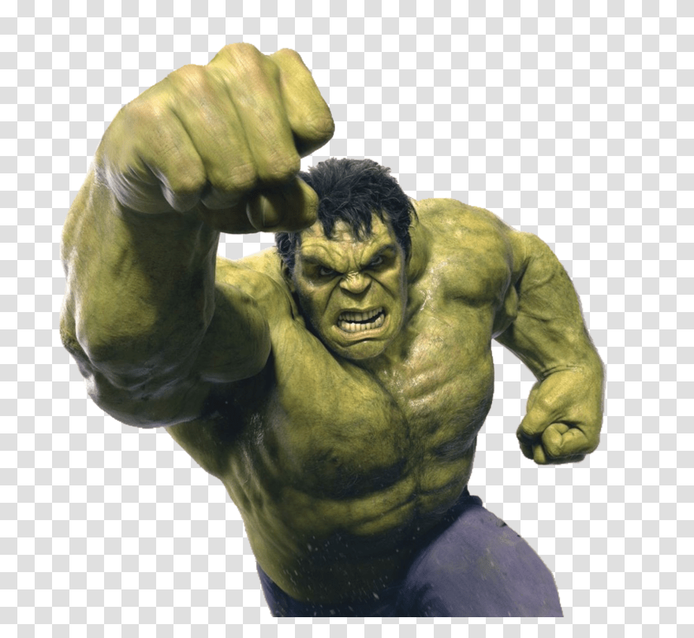 Hulk, Character, Hand, Person, Human Transparent Png