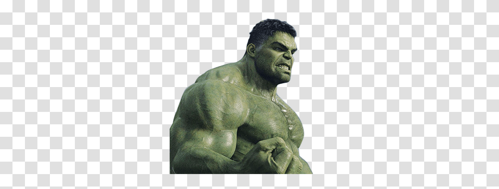 Hulk, Character, Head, Person, Human Transparent Png