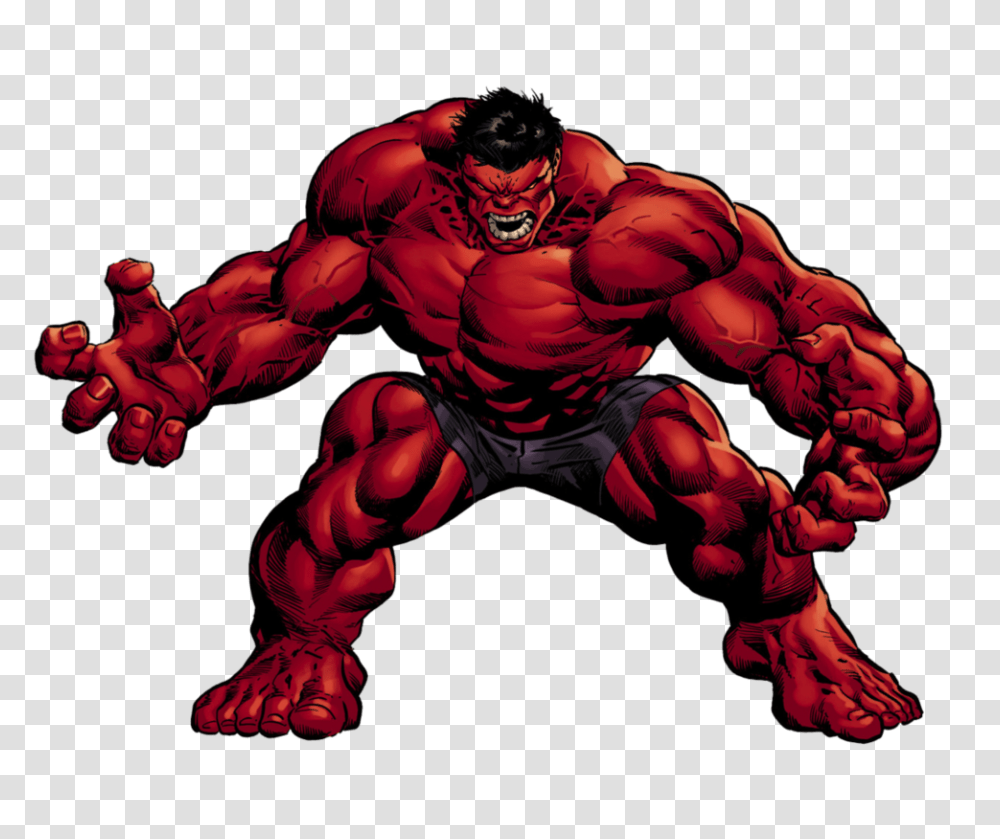 Hulk, Character, Person, Human, Animal Transparent Png