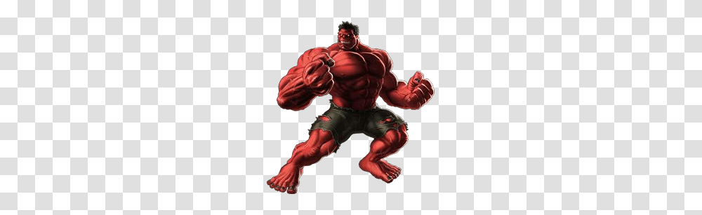 Hulk, Character, Person, Human, Ninja Transparent Png