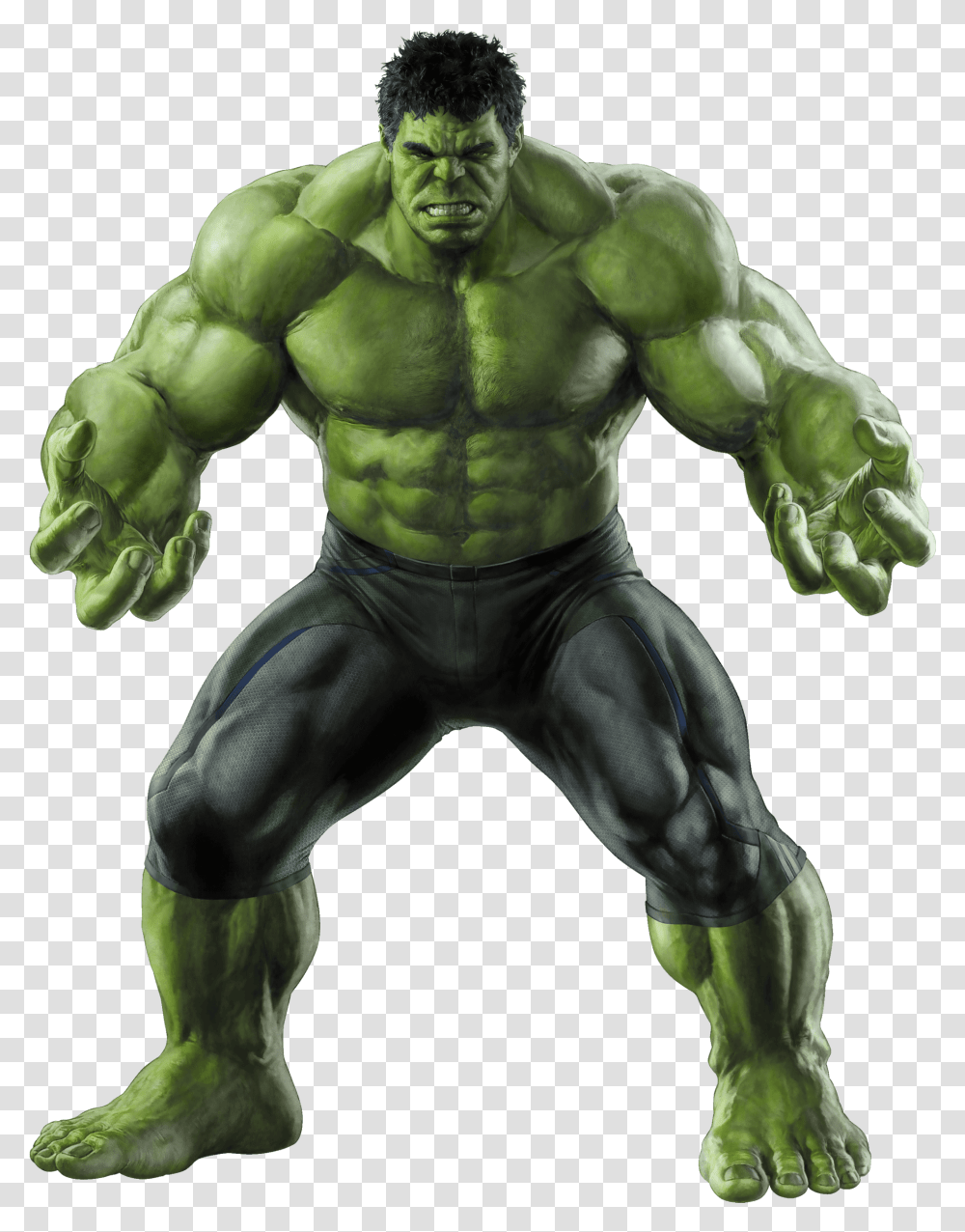 Hulk Hd, Person, Human, Hand, Torso Transparent Png