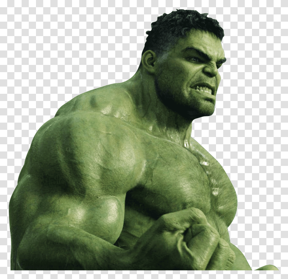 Hulk Image Free Download Searchpng Avengers Hulk, Figurine, Head, Person, Human Transparent Png