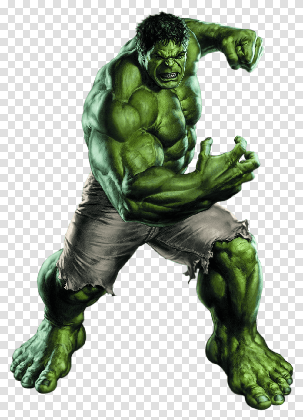 Hulk Incredible Hulk, Wildlife, Animal, Hand, Person Transparent Png