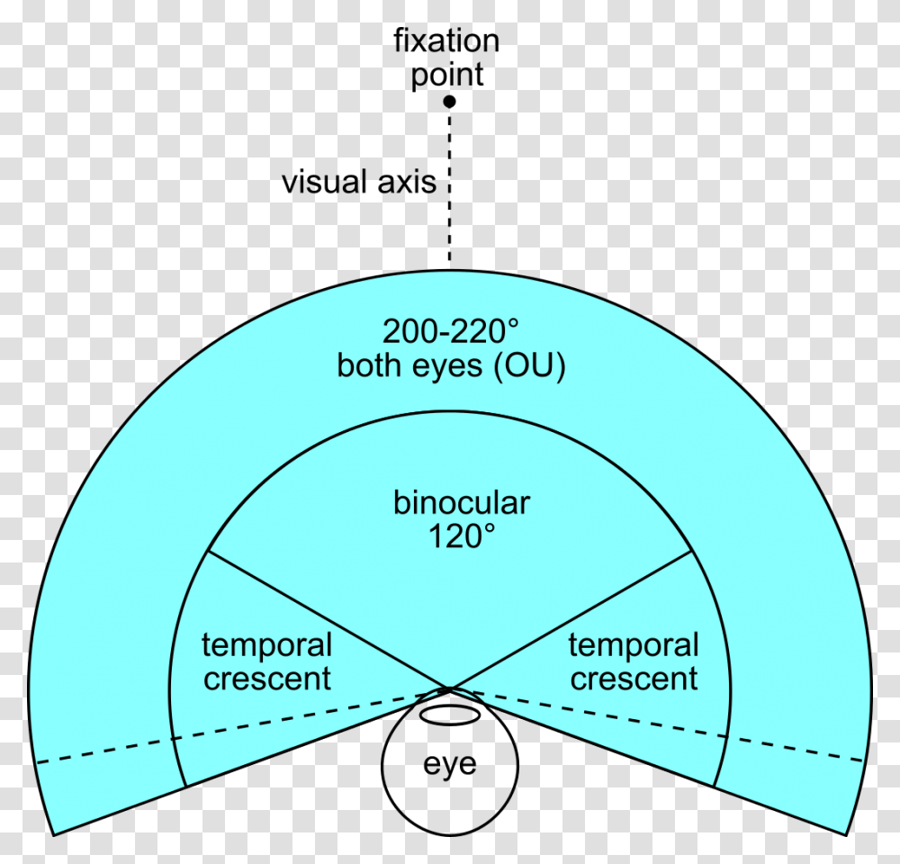 Human Binocular Field Of View, Diagram, Plot, Sphere Transparent Png