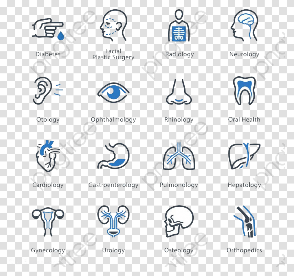 Human Body Clipart Medical Specialties Icons, Menu, Electronics Transparent Png