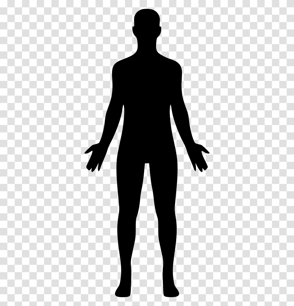 Human Body Icon Free Download, Silhouette, Person, Stencil Transparent Png