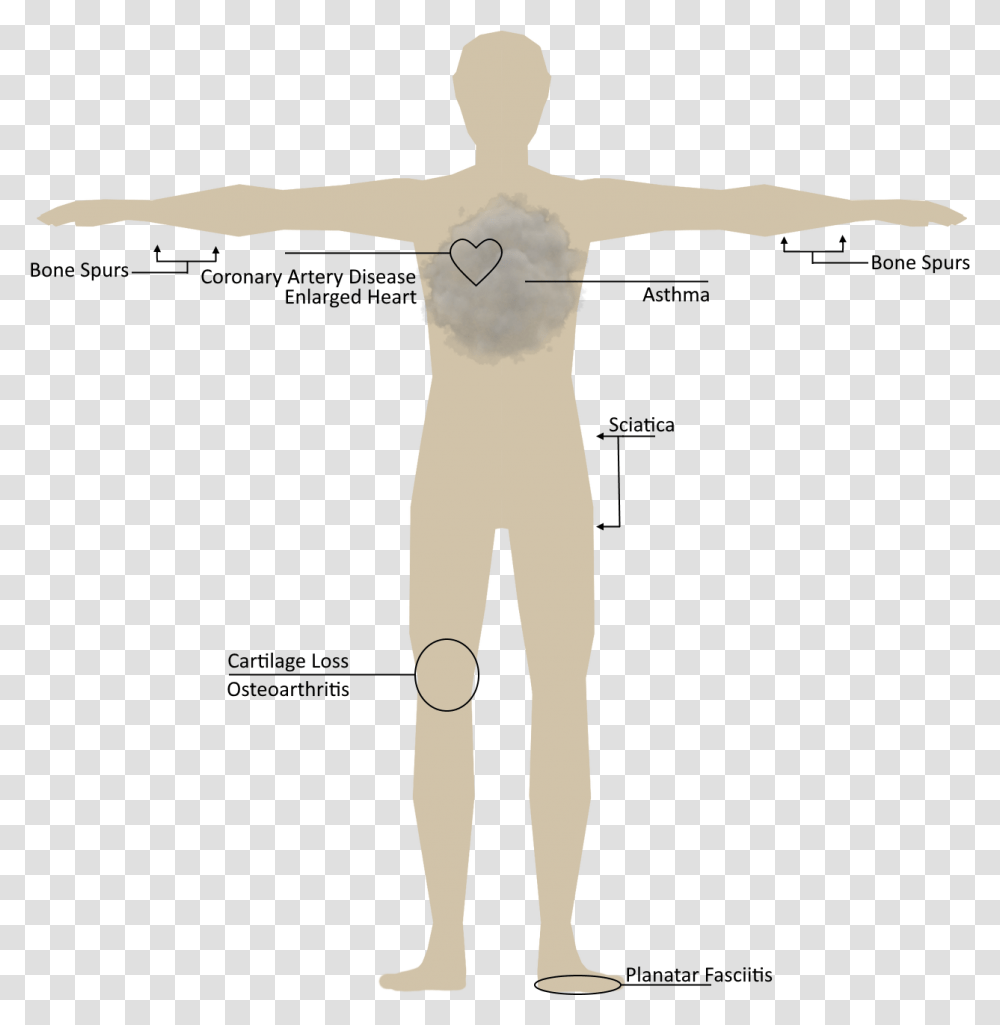 Human Body Male, Cross, Crucifix, Back Transparent Png