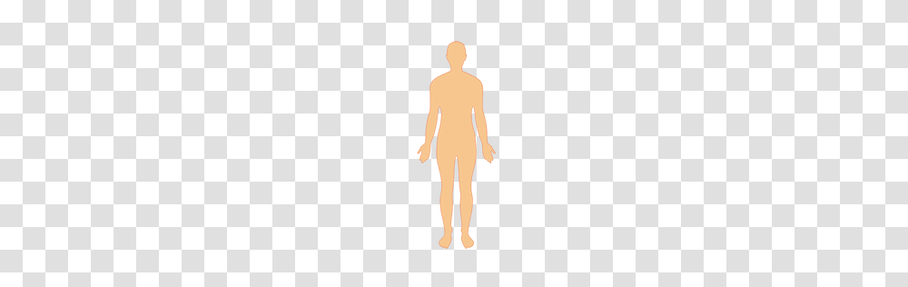 Human Body Man Silhouette, Person, Alien, Mannequin, Outdoors Transparent Png