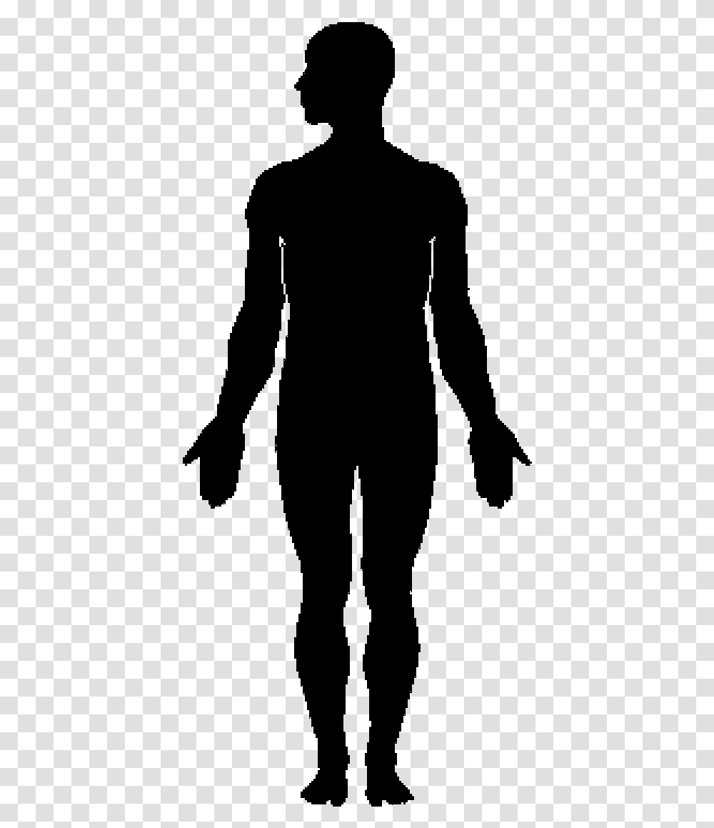 Human Body Silhouette Clip Art Multiple Myeloma Autologous Stem Cell Transplant, Gray, World Of Warcraft Transparent Png