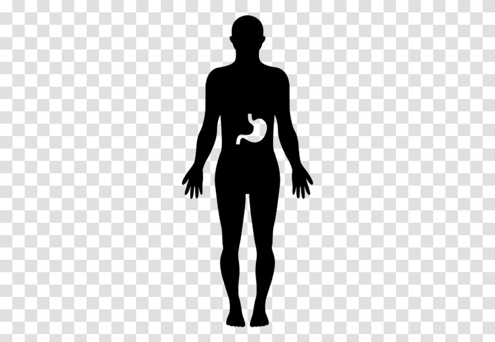 Human Body Silhouette, Gray, World Of Warcraft Transparent Png