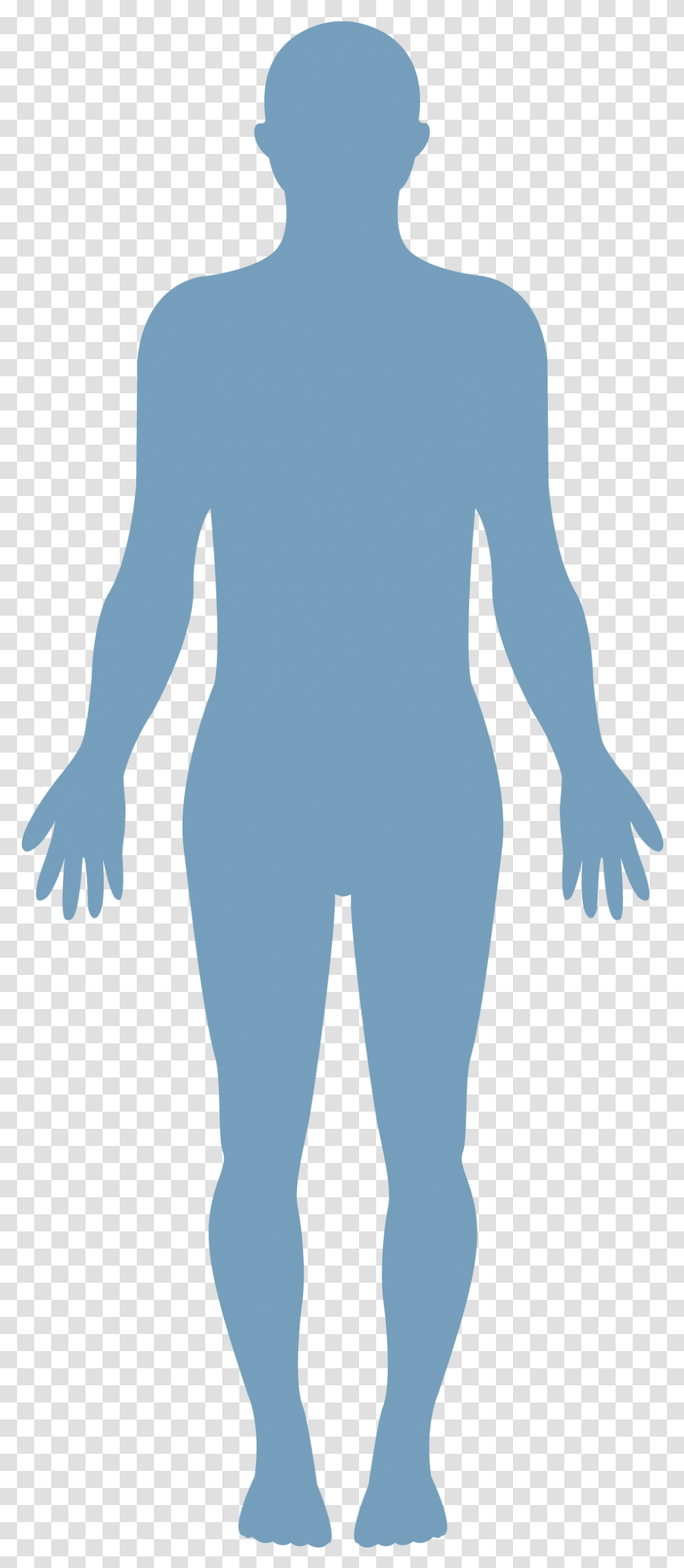 Human Body Vector Healthy Body, Sleeve, Apparel, Back Transparent Png