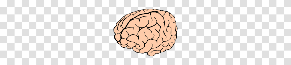 Human Brain Clipart Clip Art Of Rough Human Brain Mind Grunge, Rock, Pillow, Cushion, Plant Transparent Png