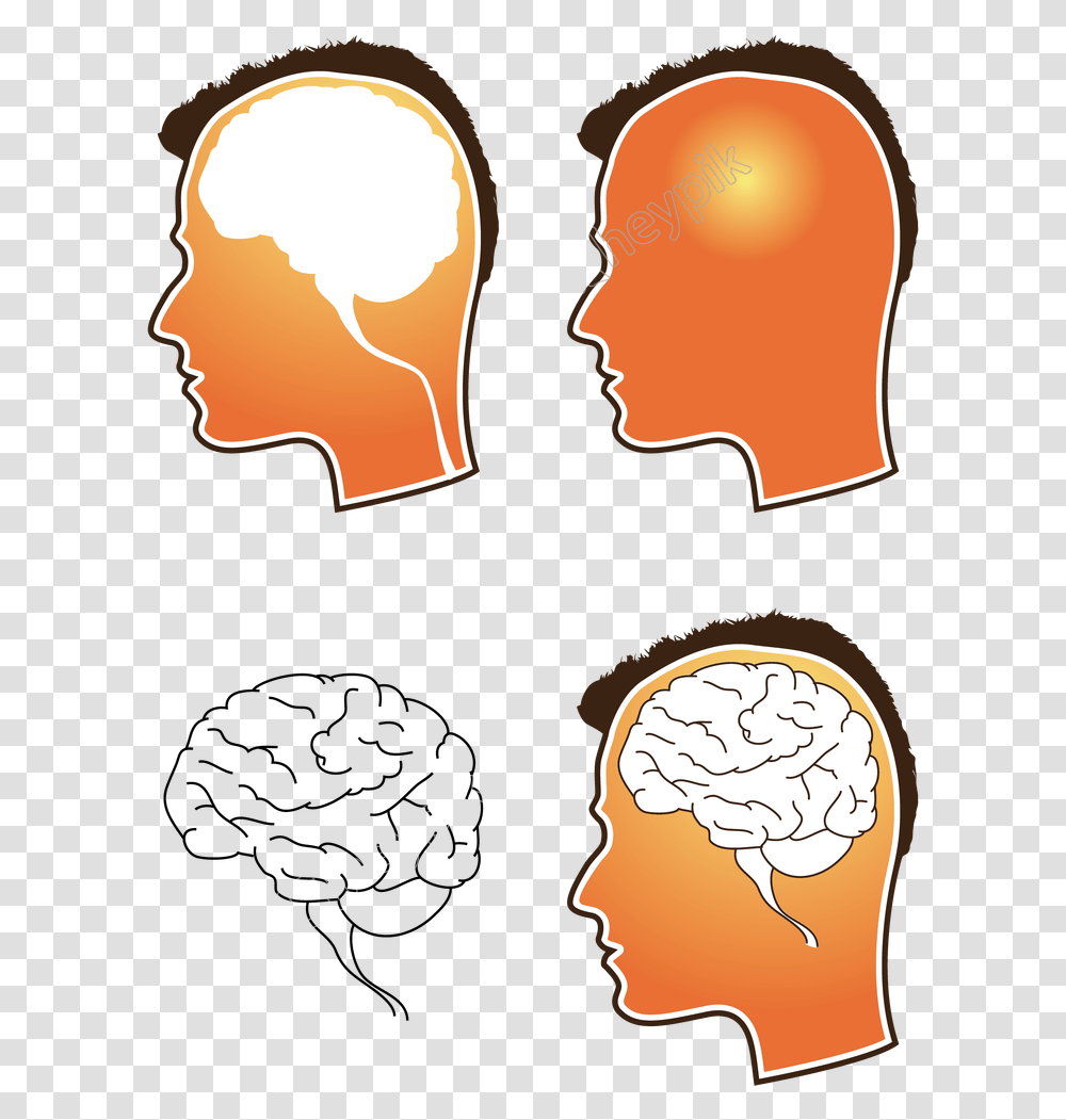Human Brain Free Vector Brain, Head, Label, Hand Transparent Png