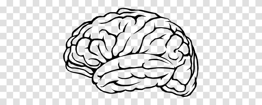 Human Brain The Athletic Brain Silhouette Drawing, Gray, World Of Warcraft Transparent Png