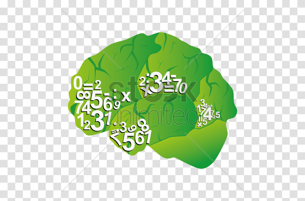Human Brain Vector Image, Plant, Food, Vegetable, Cabbage Transparent Png